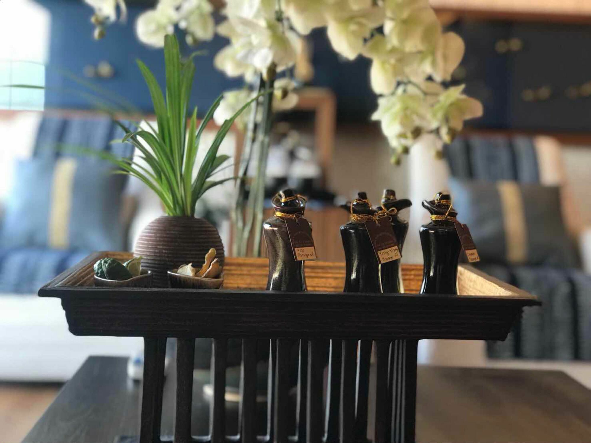 Astra Suites Central เชียงใหม่ ภายนอก รูปภาพ